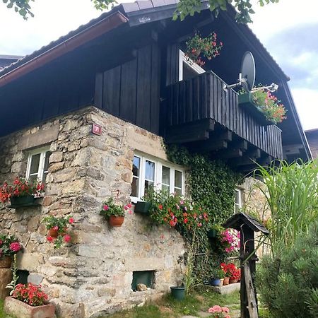 Apartman U Potucku Apartment Zelezna Ruda Bagian luar foto