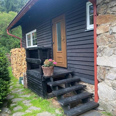 Apartman U Potucku Apartment Zelezna Ruda Bagian luar foto
