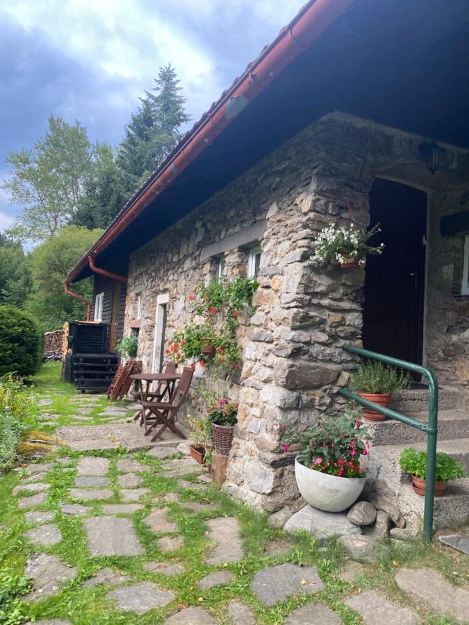 Apartman U Potucku Apartment Zelezna Ruda Bagian luar foto