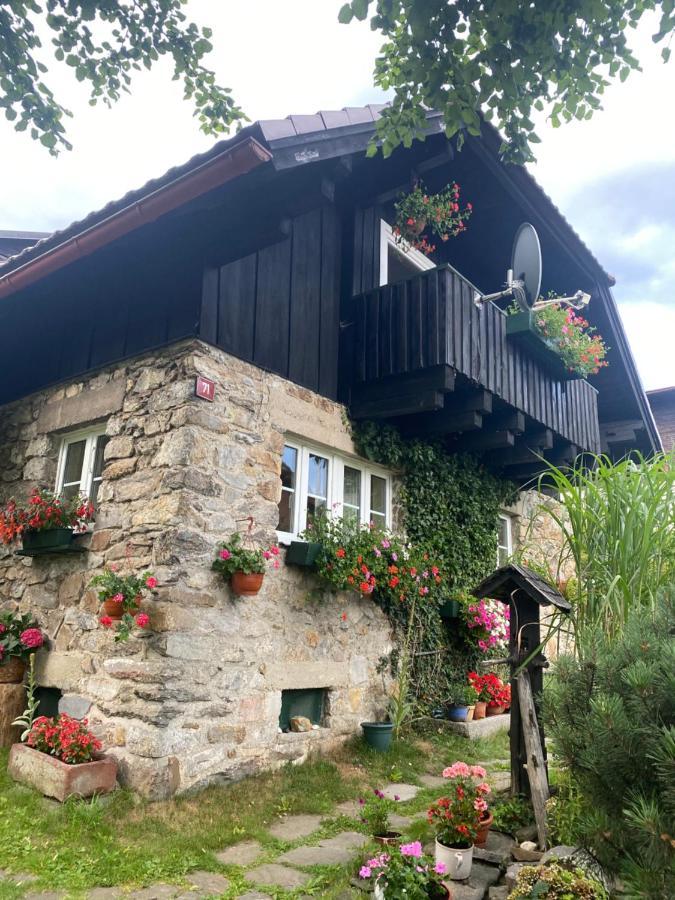 Apartman U Potucku Apartment Zelezna Ruda Bagian luar foto