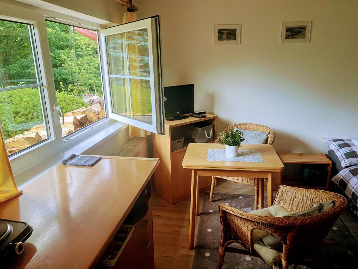 Apartman U Potucku Apartment Zelezna Ruda Bagian luar foto